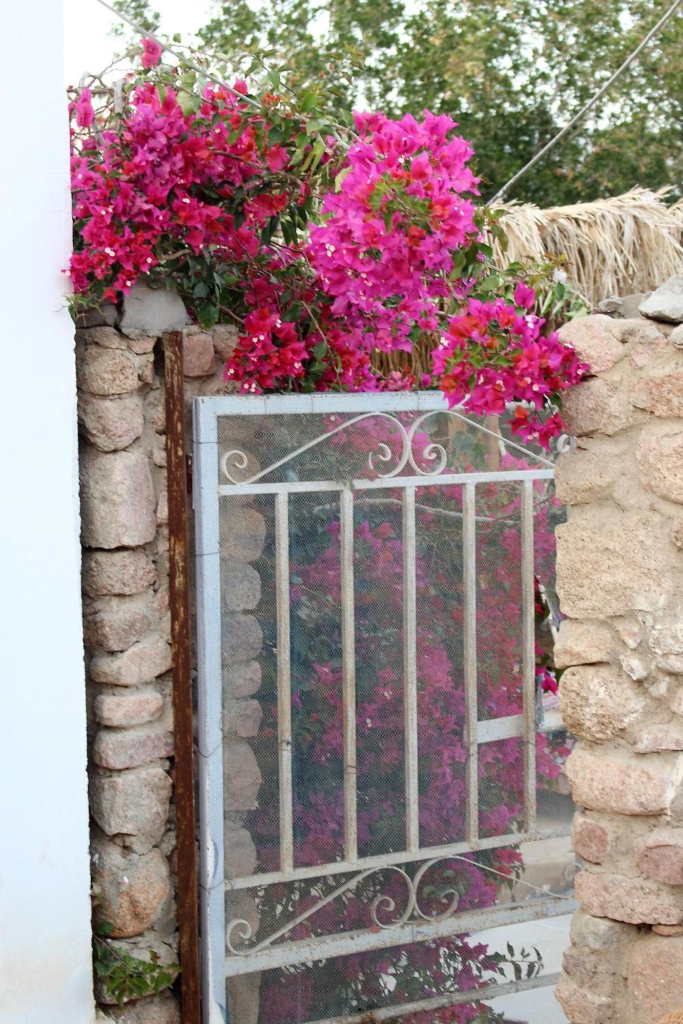 Sinai Old Spices B&B Şarm El-Şeyh Oda fotoğraf