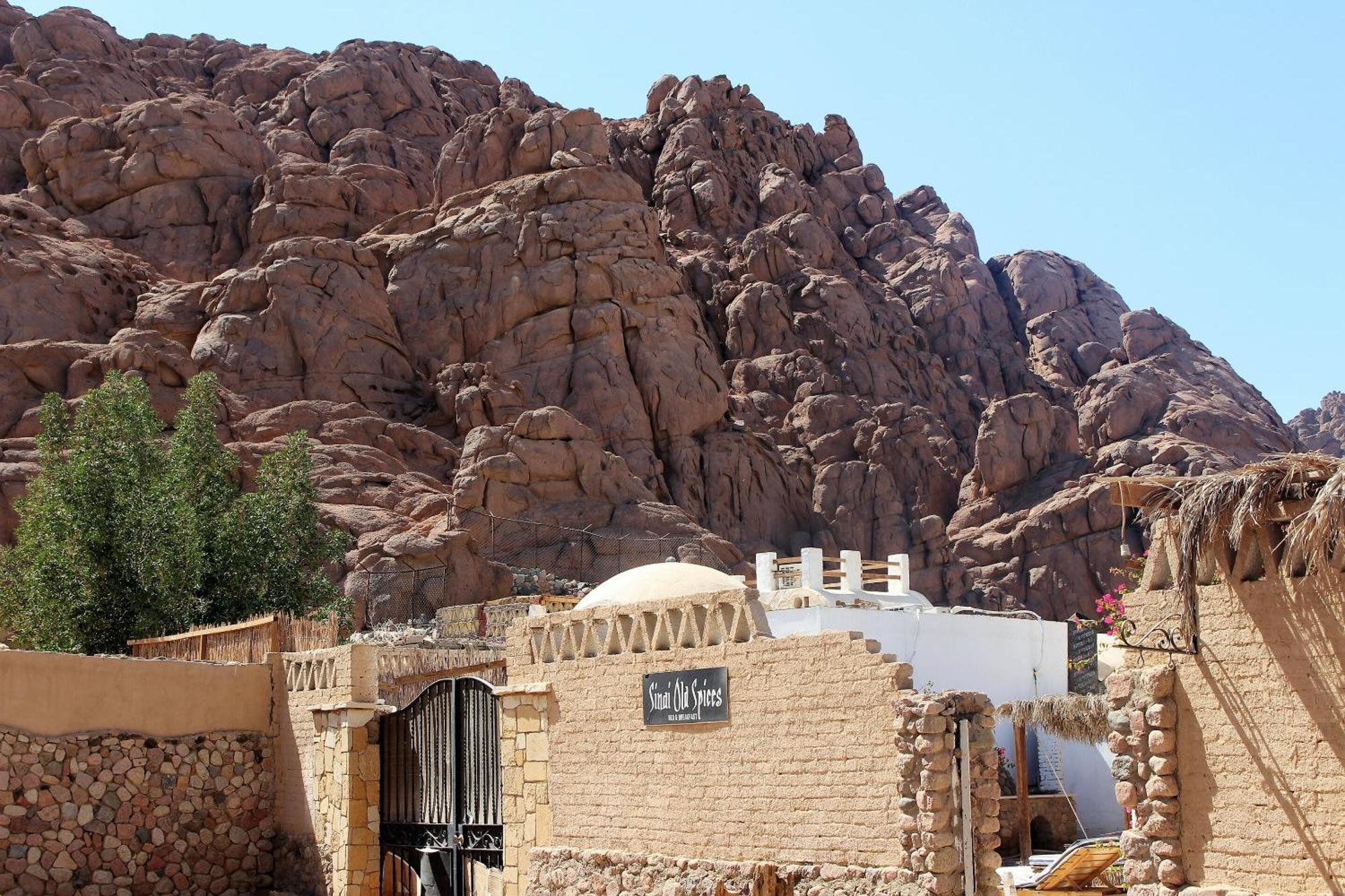 Sinai Old Spices B&B Şarm El-Şeyh Oda fotoğraf
